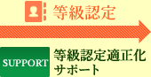 等級認定 等級認定適正化サポート